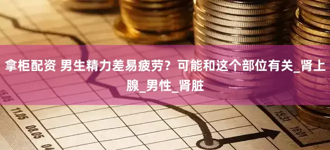 拿柜配资 男生精力差易疲劳？可能和这个部位有关_肾上腺_男性_肾脏