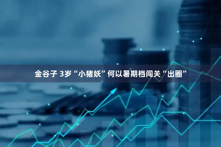 金谷子 3岁“小猪妖”何以暑期档闯关“出圈”