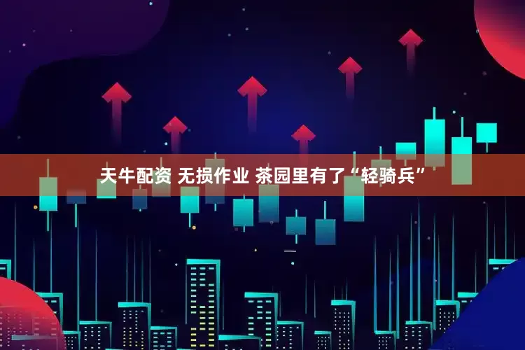 天牛配资 无损作业 茶园里有了“轻骑兵”