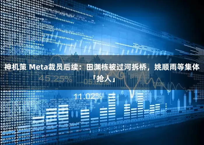 神机策 Meta裁员后续：田渊栋被过河拆桥，姚顺雨等集体「抢人」